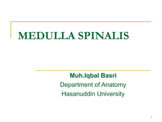 MEDULLA SPINALIS
Muh.Iqbal Basri
Department of Anatomy
Hasanuddin University
1
 