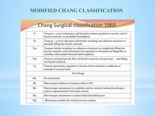 MODIFIED CHANG CLASSIFICATION
 