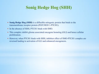 Sonig Hedge Hog (SHH)
 Sonig Hedge Hog (SHH) is a diffusible mitogenic protein that binds to the
transmembrane receptor protein (PATCHED 1-PTCH1).
 In the absence of SHH, PTCH1 binds with SMO.
 This complex inhibit glioma associated oncogene homolog (GLI) and hence cellular
proliferation.
 However, when PTCH1 binds with SHH, inhibitor effect of SMO-PTCH1 complex are
reversed leading to activation of GLI and enhanced oncogenesis.
 