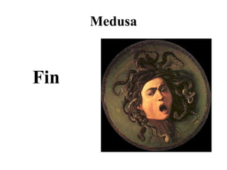 Medusa Fin 