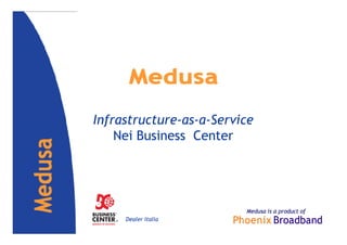 Infrastructure-as-a-Service
    Nei Business Center




                         Medusa is a product of
     Dealer Italia
 