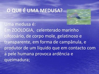 O QUE É UMA MEDUSA?
Uma medusa é:
Em ZOOLOGIA, celenterado marinho
cifozoário, de corpo mole, gelatinoso e
transparente, em forma de campânula, e
produtor de um líquido que em contacto com
a pele humana provoca ardência e
queimadura;