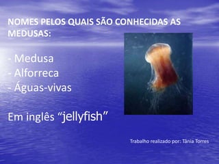 NOMES PELOS QUAIS SÃO CONHECIDAS AS
MEDUSAS:
- Medusa
- Alforreca
- Águas-vivas
Em inglês “jellyfish”
Trabalho realizado por: Tânia Torres