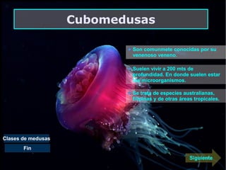 Medusas | ODP