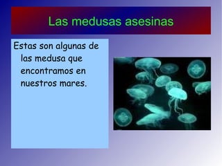 Las medusas asesinas ,[object Object]