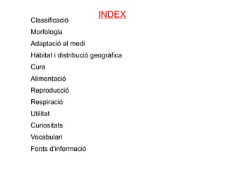 INDEX
Classificació
Morfologia
Adaptació al medi
Hàbitat i distribució geogràfica
Cura
Alimentació
Reproducció
Respiració
Utilitat
Curiositats
Vocabulari
Fonts d'informació
 