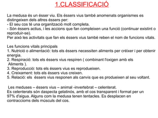 1.CLASSIFICACIÓ
La medusa és un ésser viu. Els éssers vius també anomenats organismes es
distingeixen dels altres éssers per:
- El seu cos té una organització molt completa.
- Són éssers actius, i les accions que fan compleixen una funció (continuar existint o
reproduir-se).
Per això les activitats que fan els éssers vius també reben el nom de funcions vitals.

Les funcions vitals principals
1. Nutrició o alimentació: tots els éssers necessiten aliments per créixer i per obtenir
energia.
2. Respiració: tots els éssers vius respiren ( combinant l'oxigen amb els
 Aliments ).
3. Reproducció: tots els éssers vius es reprodueixen.
4. Creixament: tots els éssers vius creixen.
5. Relació: els éssers vius responen als canvis que es produeixen al seu voltant.

 Les meduses – éssers vius – animal -invertebrat – celenterat.
Es celenterats són daspecta gelatinós, amb el cos transparent i format per un
97% d'aigua. Alguns com la medusa tenen tentacles. Es desplacen en
contraccioms dels músculs del cos.
 