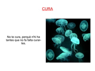 CURA




 No te cura, perquè n'hi ha
tantes que no fa falta curar-
            les.
 