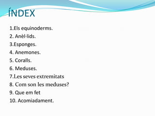 ÍNDEX
1.Els equinoderms.
2. Anèl·lids.
3.Esponges.
4. Anemones.
5. Coralls.
6. Meduses.
7.Les seves extremitats
8. Com son les meduses?
9. Que em fet
10. Acomiadament.
 