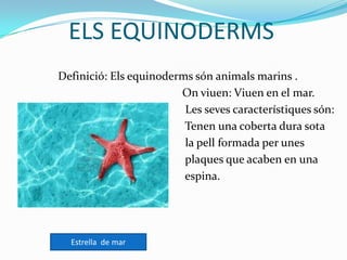ELS EQUINODERMS
Definició: Els equinoderms són animals marins .
On viuen: Viuen en el mar.
Les seves característiques són:
Tenen una coberta dura sota
la pell formada per unes
plaques que acaben en una
espina.
Estrella de mar
 