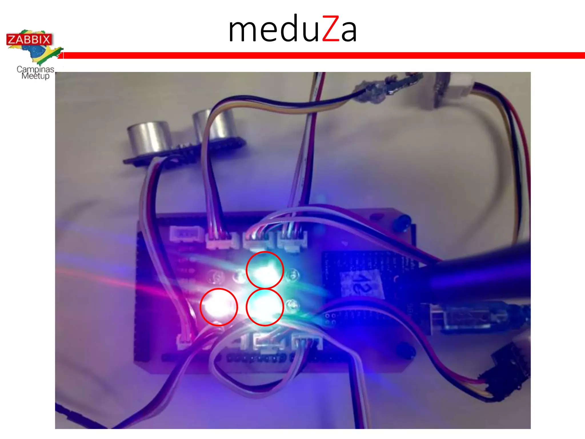 meduZa
 