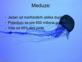 Prezentacija: Meduze | PPT