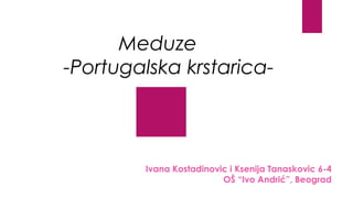 Meduze
-Portugalska krstarica-
Ivana Kostadinovic i Ksenija Tanaskovic 6-4
OŠ “Ivo Andrić”, Beograd
 