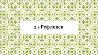 Рефлекси
 