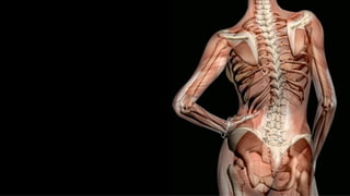 Finding Hope Outside the Doctor’s Office
•  MyHealthTeams
•  Crohnology – Crohns and Colitis
•  AutoimmuneMom
•  PaleoMom
•  FurtherFood
Empowering the Patient through Digital Health
•  Ubiome – Microbiome Testing
•  Smart Patients – Drug and Clinical Trial Options
•  The Importance of Data Tracking
•  Quantified Self – Self Knowledge through Numbers
•  MyNutritionHealth – Tracking Symptoms in relation to Food
•  The Autoimmune Summit
•  Susan Blum
•  Mark Hyman
•  Amy Myers
•  Terry Wahls
•  One Size Does NOT Fit All
Diet Experimentation and Patient Communities
•  Bridging the Autoimmune Abyss, a View from the Bottom Up
– Larry Smarr
•  JIYO – a Personal Well-Being Companion
•  The Institute of Systems Biology and Arivale with Lee Hood –
Understanding your genome, microbiome, and lifestyle
 