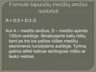 A = D:2 + D:3 /2

Kur A – medžio amžius, D – medžio apimtis
 150cm aukštyje. Išmatuojame kelių rūšių
 bent po tris tos pačios rūšies medžių
 skersmenis nurodytame aukštyje. Tyrimą
 galima atlikti keliose skirtingose miško ar
 lauko vietose.
 