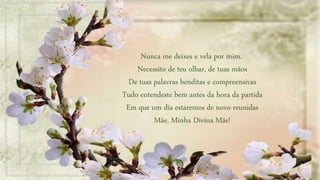 Nunca me deixes e vela por mim.
Necessito de teu olhar, de tuas mãos
De tuas palavras benditas e compreensivas
Tudo entendeste bem antes da hora da partida
Em que um dia estaremos de novo reunidas
Mãe, Minha Divina Mãe!
 