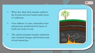 Formation of coal, petroleum and natural gas | PPT