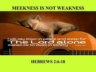MEEKNESS IS NOT WEAKNESS HEBREWS 2:6-18 