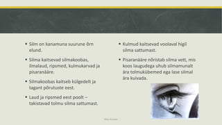  Silm on kanamuna suurune õrn
elund.
 Silma kaitsevad silmakoobas,
ilmalaud, ripsmed, kulmukarvad ja
pisaranääre.
 Silmakoobas kaitseb külgedelt ja
tagant põrutuste eest.
 Laud ja ripsmed eest poolt –
takistavad tolmu silma sattumast.
 Kulmud kaitsevad voolaval higil
silma sattumast.
 Pisaranääre nõristab silma vett, mis
koos laugudega uhub silmamunalt
ära tolmukübemed ega lase silmal
ära kuivada.
Mari Kauber
 