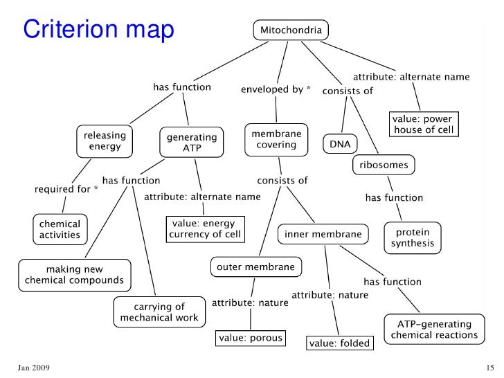 Refined Concept Maps Science Education Knowledge