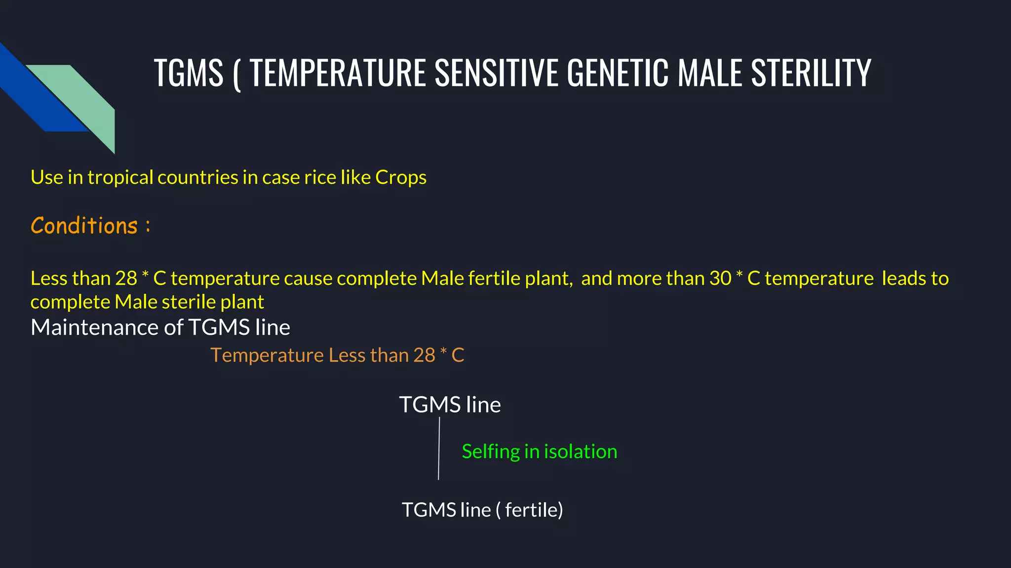 A,B& R LINE DEVELOPMENT IN HYBRID SEED PRODUCTION | PPTX