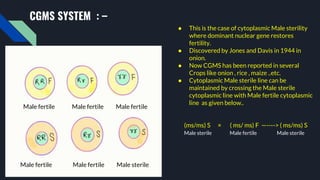 A,B& R LINE DEVELOPMENT IN HYBRID SEED PRODUCTION | PPTX