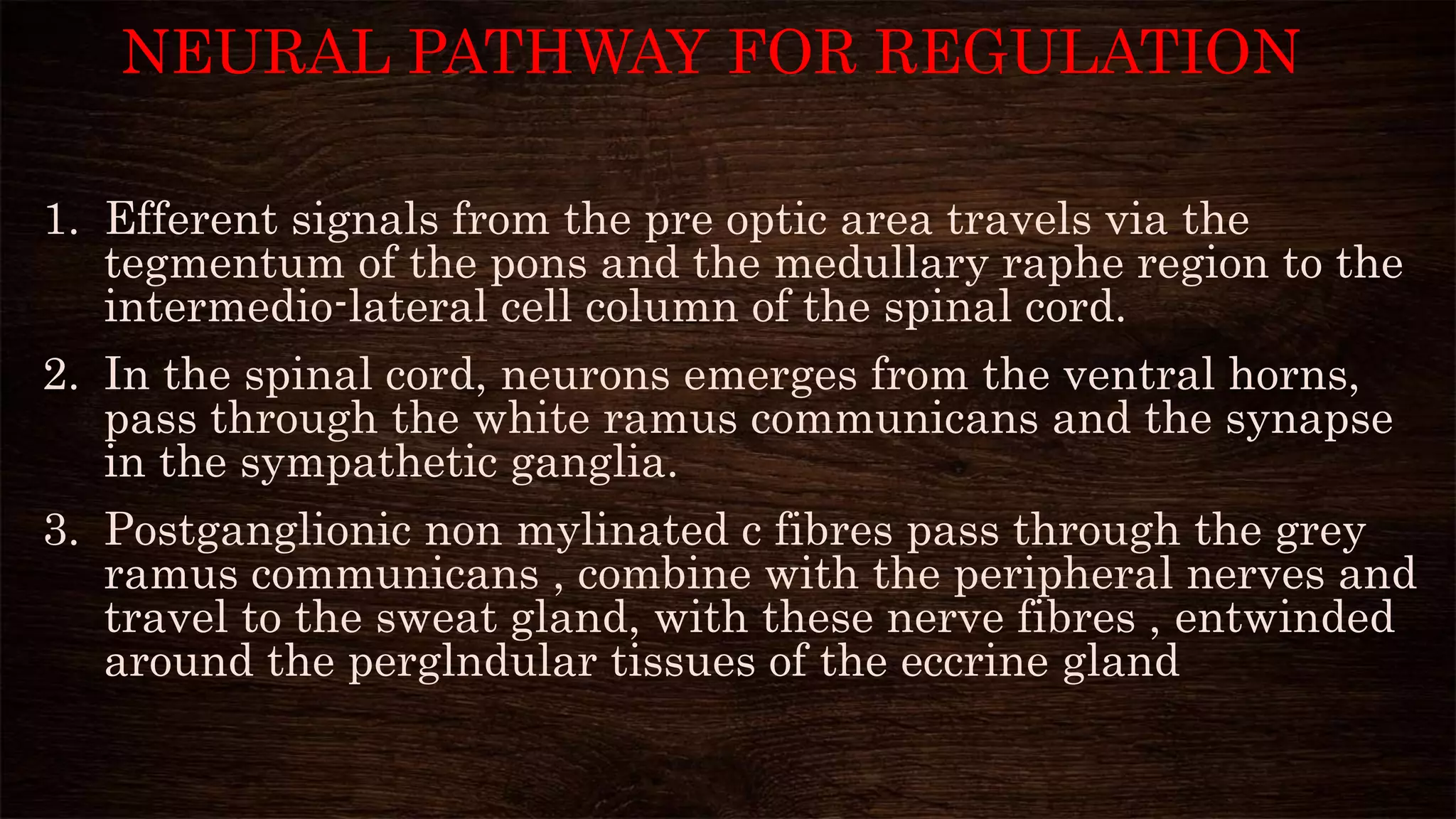 NEURAL PATHWAY FOR REGULATION
1. Efferent signals from the pre optic area travels via the
tegmentum of the pons and the medullary raphe region to the
intermedio-lateral cell column of the spinal cord.
2. In the spinal cord, neurons emerges from the ventral horns,
pass through the white ramus communicans and the synapse
in the sympathetic ganglia.
3. Postganglionic non mylinated c fibres pass through the grey
ramus communicans , combine with the peripheral nerves and
travel to the sweat gland, with these nerve fibres , entwinded
around the perglndular tissues of the eccrine gland
 