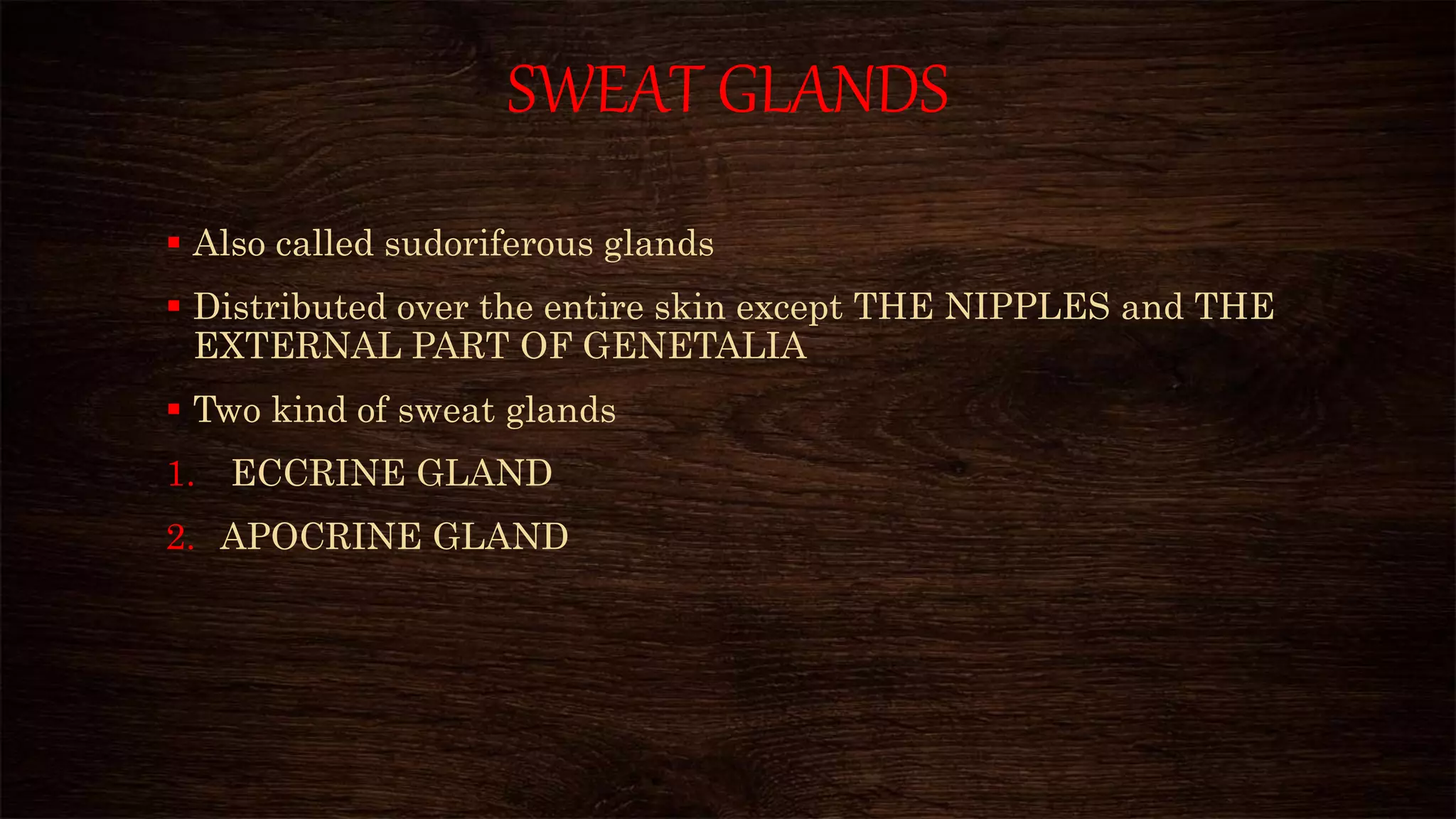 SWEAT GLANDS
 Also called sudoriferous glands
 Distributed over the entire skin except THE NIPPLES and THE
EXTERNAL PART OF GENETALIA
 Two kind of sweat glands
1. ECCRINE GLAND
2. APOCRINE GLAND
 