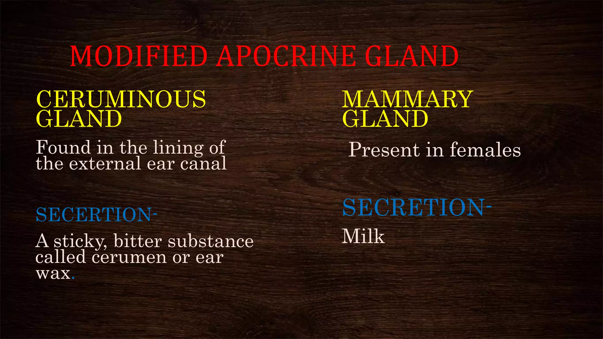 MODIFIED APOCRINE GLAND
CERUMINOUS
GLAND
Found in the lining of
the external ear canal
SECERTION-
A sticky, bitter substance
called cerumen or ear
wax.
MAMMARY
GLAND
Present in females
SECRETION-
Milk
 