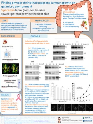 Finding phytoproteins that suppress tumour growth on
gut micro environment
Sporamin from Ipomoea batatas
(sweet potato) provide the first clue
RESULTS
METHODOLOGY
AIM
FINDINGS
Fig.1. Effects of sporamin
treatment on the expressionof
Bcl-2, Bcl-XL, and Bax in
human pancreatic cancer cell
lines, PANC-1 and BxPC-3
(western blot)
BACKGROUND
Fig. 2. Effects of sporamin
treatment on the expression
levels of Bcl-2, Bcl-XL and Bax in
esophageal squamous cell
carcinoma cell lines , EC9706 and
EC109 (western blot)
Fig. 3. Effect of sweet potatoprotein
on human colorectal cancer SW480
cells.
A: Effects of various concentrations
of sweet potatoprotein (SPP) on
SW480 cell proliferation.Observed
dose-dependent inhibition.
B: Effect of various treatment times
with 40 μmol/L SPP on SW480 cell
proliferation.Time-dependent
inhibitionobserved.
C: Hoechst 33258 nuclear staining.
SW480 cells were incubated in the
absence or presence of various
concentrationsof SPP for 48 h,
stained with Hoechst 33258 dye.
Sporamin exerts
significant anti-
proliferative and anti-
metastatic effects by
inducing apoptosis of
human gut cancer cell
lines.
ETHNOBOTANY
The sweet potato (Ipomoea
batatas) is a dicotyledonous
plant, Family-Convolvulaceae.
✓anti-cancer
✓Anti-diabetic
✓Anti-inflammatory
To study whether sporamin, a
storage protein from sweet potato,
suppresses the growth of tumour
cells of human GI tract in vitro.
Electronic databases
searching:
PubMed, Google scholar, and
ScienceDirect
Reference:
1. Qian C, Chen X, Qi Y, et al. Sporamin induces apoptosis and inhibits NF-κB activation in human pancreatic cancer cells. Tumor Biology. 2017;39(7).
doi:10.1177/1010428317706917
2. Qian, C., Qi, Y., Chen, X., Zeng, J., & Yao, J. (2017). Sporamin suppresses growth of human esophageal squamous cell carcinoma cells by inhibition of
NF-κB via an AKT-independent pathway. Molecular Medicine Reports, 16, 9620-9626. https://doi.org/10.3892/mmr.2017.7772
3. Li PG, Mu TH, Deng L. Anticancer effects of sweet potato protein on human colorectal cancer cells. World J Gastroenterol 2013; 19(21): 3300-3308
[PMID: 23745032 DOI: 10.3748/wjg.v19.i21.3300]
Induction of cell apoptosis in
human cancer cell lines in vitro
 