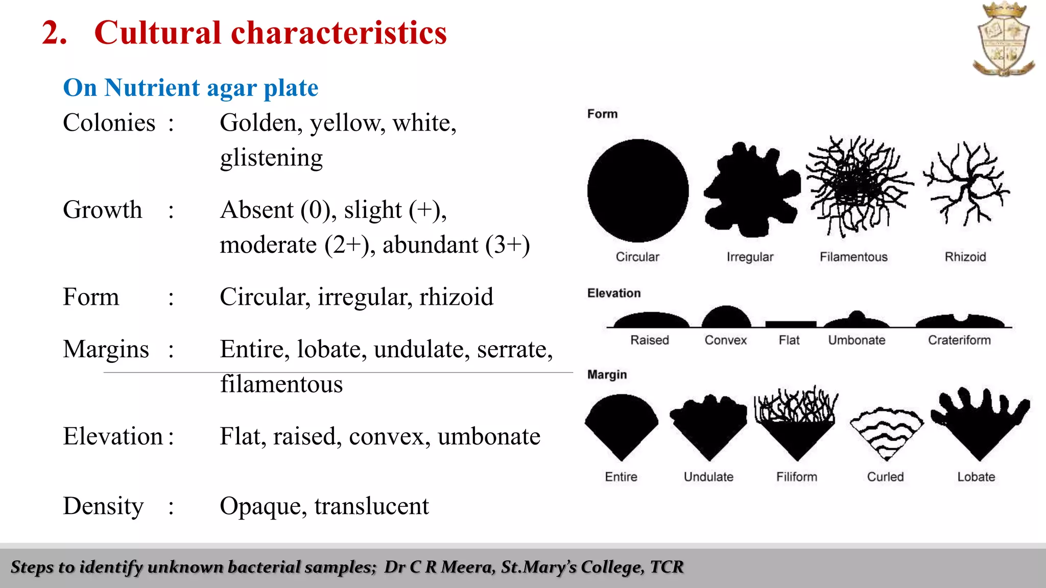 Steps to identify unknown bacterial samples; Dr C R Meera, St.Mary’s College, TCR
2. Cultural characteristics
On Nutrient agar plate
Colonies : Golden, yellow, white,
glistening
Growth : Absent (0), slight (+),
moderate (2+), abundant (3+)
Form : Circular, irregular, rhizoid
Margins : Entire, lobate, undulate, serrate,
filamentous
Elevation : Flat, raised, convex, umbonate
Density : Opaque, translucent
 