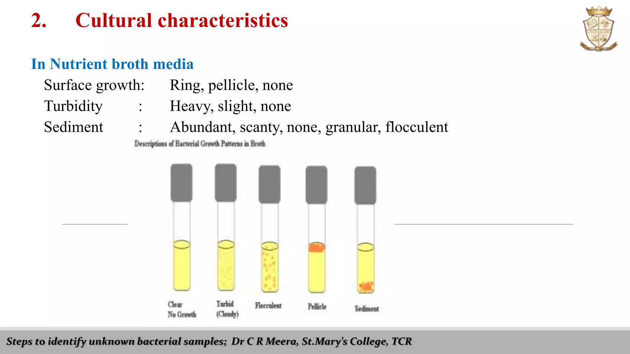 Steps to identify unknown bacterial samples; Dr C R Meera, St.Mary’s College, TCR
2. Cultural characteristics
In Nutrient broth media
Surface growth: Ring, pellicle, none
Turbidity : Heavy, slight, none
Sediment : Abundant, scanty, none, granular, flocculent
 