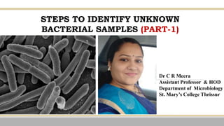 STEPS TO IDENTIFY UNKNOWN
BACTERIAL SAMPLES (PART-1)
Dr C R Meera
Assistant Professor & HOD
Department of Microbiology
St. Mary’s College Thrissur
 