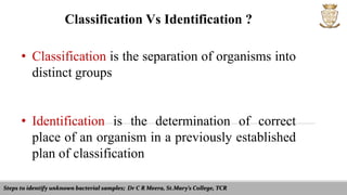 Identification of unknown bacterial samples | PPT