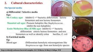 Steps to identify unknown bacterial samples; Dr C R Meera, St.Mary’s College, TCR
2. Cultural characteristics
On Special media
a) Differential / Selective media
Egs:
Mc Conkey agar :Inhibit G +ve bacteria; differentiate lactose
fermenters and non lactose fermenters
Mannitol salt agar: Promote halopiles like Staphylococcus,
inhibit the non halophiles
Eosin Methylene Blue (EMB) agar :Inhibit G +ve bacteria;
differentiate enteric lactose fermenters and non
fermenters as well as identify colon bacillus, E. coli
b) Enriched media
Eg:
Blood agar :Differentiate hemolytic microorganisms like
Streptococcus spp. from non hemolytic species
1 2
3
4
 