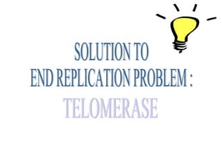 Telomerase "replenishes" the telomere "cap" of the DNATelomerase "replenishes" the telomere "cap" of the DNA
 