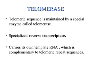 TELOMERASETELOMERASE
• Telomeric sequence is maintained by a specialTelomeric sequence is maintained by a special
enzyme called telomerase.enzyme called telomerase.
• SpecializedSpecialized reverse transcriptase.reverse transcriptase.
• Carries its own template RNA , which isCarries its own template RNA , which is
complementary to telomeric repeat sequences.complementary to telomeric repeat sequences.
 