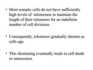 • Most somatic cells do not have sufficientlyMost somatic cells do not have sufficiently
high levels of telomerase to maintain thehigh levels of telomerase to maintain the
length of their telomeres for an indefinitelength of their telomeres for an indefinite
number of cell divisions.number of cell divisions.
• Consequently, telomeres gradually shorten asConsequently, telomeres gradually shorten as
cells age.cells age.
• This shortening eventually leads to cell deathThis shortening eventually leads to cell death
or senescence.or senescence.
 