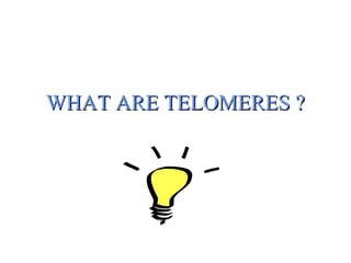 WHAT ARE TELOMERES ?WHAT ARE TELOMERES ?
 