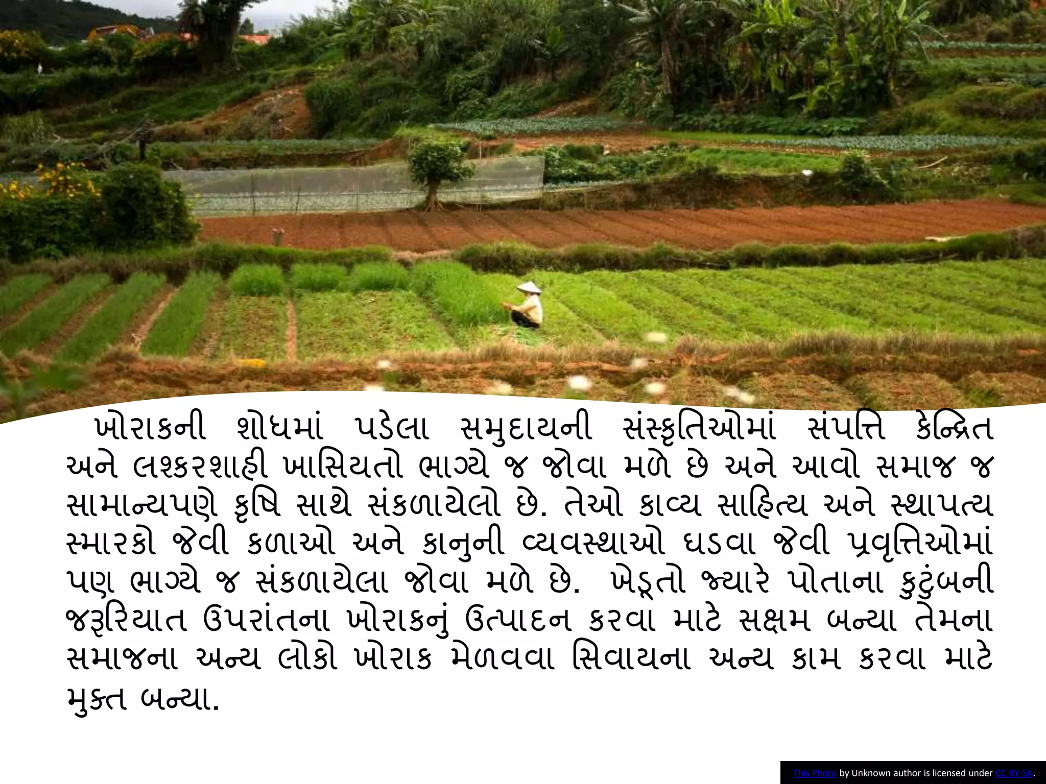 ખોરાકની શોધમાાં પડેલા સમુદાયની સાંસ્કૃનતઓમાાં સાંપનત્ત કેષ્ન્દ્રત
અને લશ્કરશાહી ખાનસયતો ભાગ્યે જ જોવા મળે છે અને આવો સમાજ જ
સામાન્યપણે કૃનષ સાથે સાંકળાયેલો છે. તેઓ કાવ્ય સાકહત્ય અને સ્થાપત્ય
સ્મારકો જેવી કળાઓ અને કાનુની વ્યવસ્થાઓ ઘડવા જેવી પ્રવૃનત્તઓમાાં
પણ ભાગ્યે જ સાંકળાયેલા જોવા મળે છે. ખેડૂતો જ્યારે પોતાના કુટુાંિની
જરૂકરયાત ઉપરાાંતના ખોરાકનુાં ઉત્પાદન કરવા માટે સક્ષમ િન્યા તેમના
સમાજના અન્ય લોકો ખોરાક મેળવવા નસવાયના અન્ય કામ કરવા માટે
મુક્ત િન્યા.
This Photo by Unknown author is licensed under CC BY-SA.
 