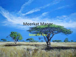 Meerkat Manor Seize the Day 