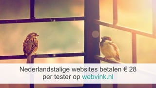 Nederlandstalige websites betalen € 28
per tester op webvink.nl
 