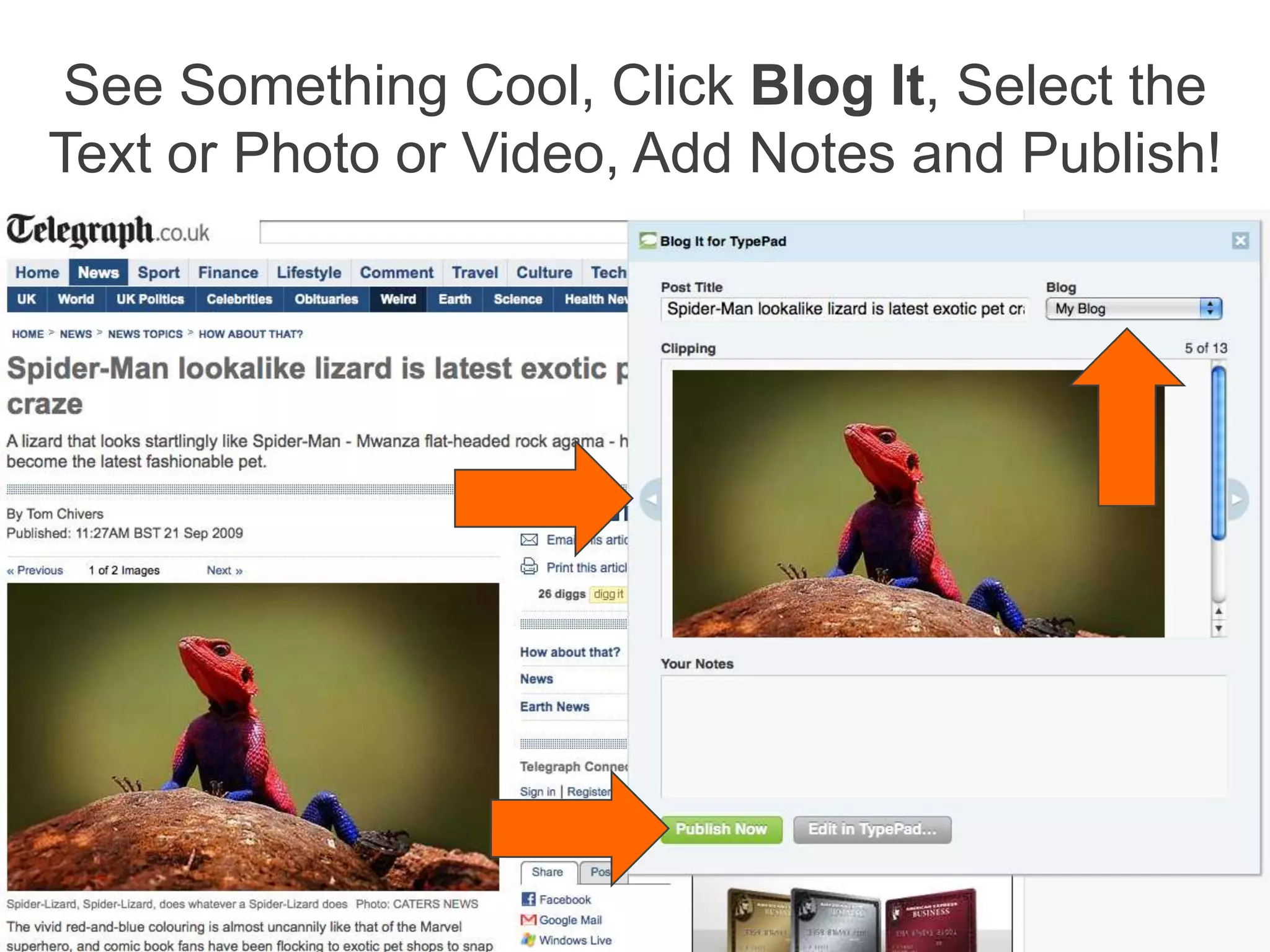Don’t See the Bookmarks or Links Bar?FirefoxIESafari