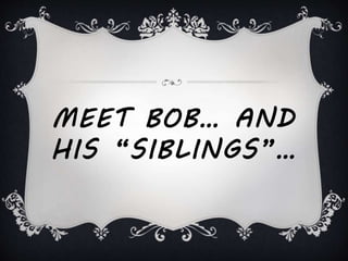 MEET BOB… AND
HIS “SIBLINGS”…
 