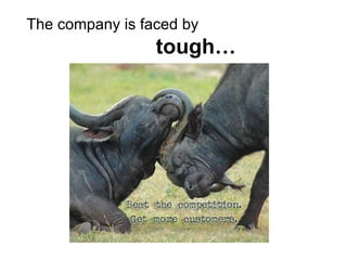 The company is faced by    tough… 