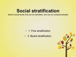 Social stratification
distinct social levels that can be identified, and can be ranked/evaluated
• 1. Fine stratification
• 2. Board stratification
 