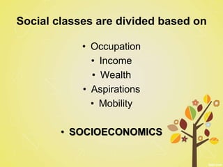 Social classes are divided based on
• Occupation
• Income
• Wealth
• Aspirations
• Mobility
• SOCIOECONOMICS
 