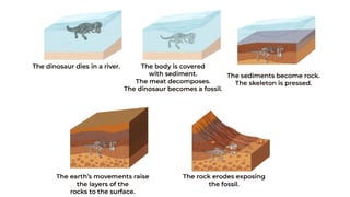 13 Rocks Meeting 11 - 13- Rocks, minerals, and soils (1).pptx