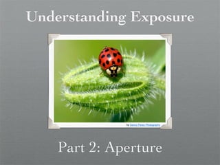 Understanding Exposure




              by Danny Perez Photography




    Part 2: Aperture
 